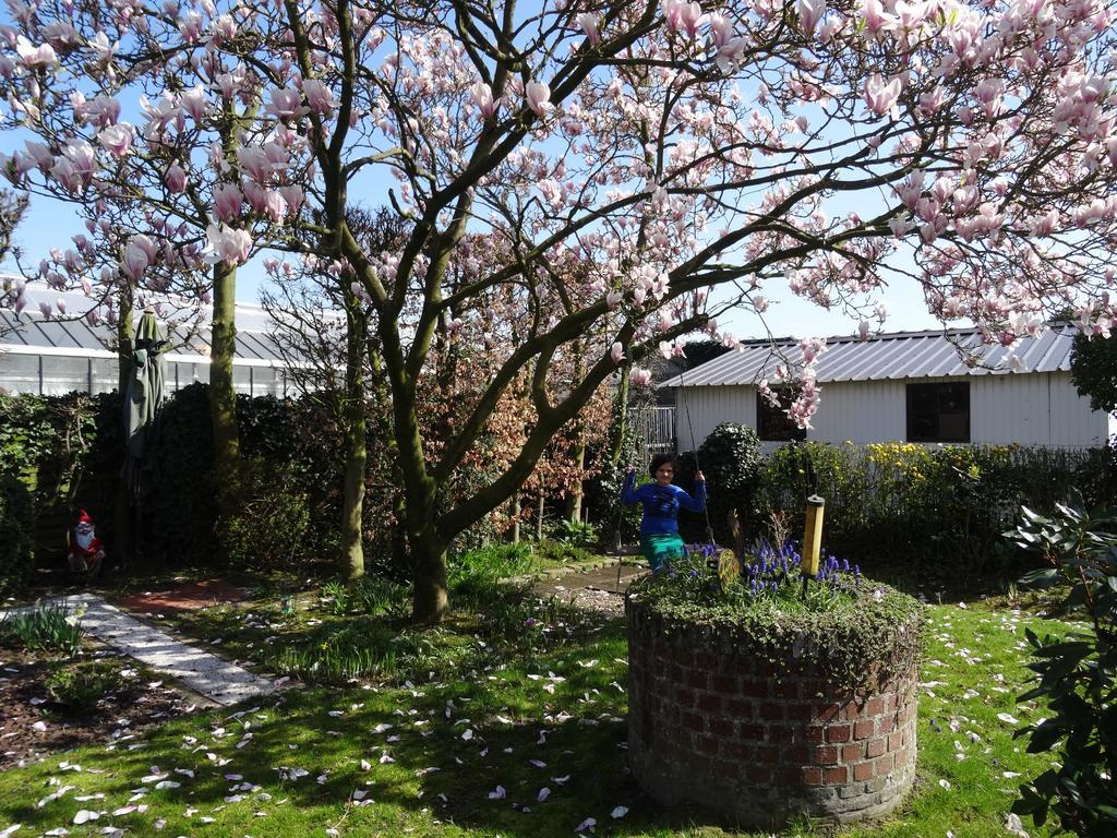 Hostellerie Daiseldaele Dadizele Exterior photo
